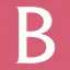 Beisselneedles.com Favicon