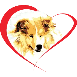 Bel-Collie.com Favicon