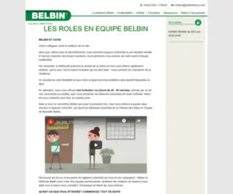 Belbinfrance.com(Belbin France) Screenshot