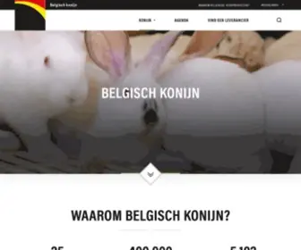 Belgianrabbitmeat.com(Belgisch konijn) Screenshot