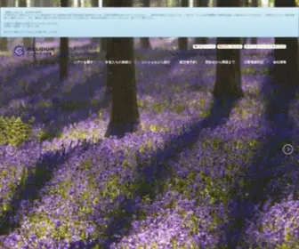 Belgium-EX.com(ベルギー旅行の専門店) Screenshot