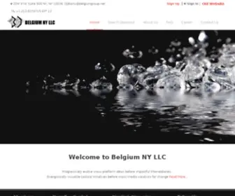 Belgiumny.com(Belgium NY LLC) Screenshot