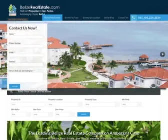 Belizerealestate.com(Belize Real Estate for sale on Ambergris Caye) Screenshot