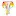 Bellabocu.com Favicon