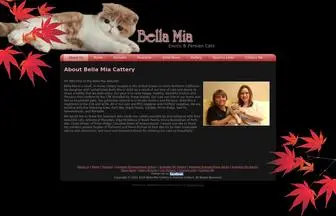 Bellamiacattery.com(Bella Mia Cattery of Exotic Shorthair and Persian Cats) Screenshot