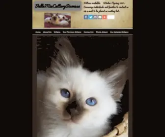 Bellamiacatterysiamese.com(Bella Mia Cattery Siamese) Screenshot
