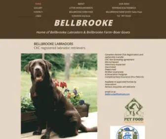 Bellbrookelabs.com(Home page for Bellbrooke Labradors & Bellbrooke Farm) Screenshot