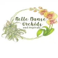 Belledanseorchids.com Favicon