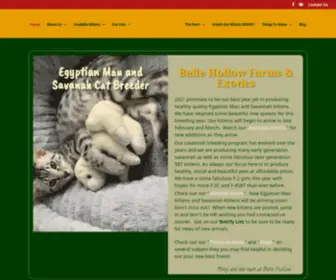 Bellehollow.net(Egyptian Mau & Savannah Kittens for Sale from Belle Hollow Farms and Exotics) Screenshot