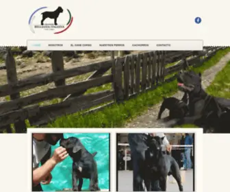 Bellezzaitaliana.com.ar(Criadero Bellezza Italiana Cane Corso) Screenshot