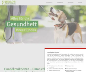 Bellos-Gesundheit.de(Hundekrankheiten Symptome) Screenshot