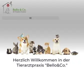 Belloundco.de(Ihr Tierarzt in Rudow) Screenshot