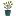 Bellypots.com Favicon