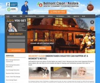 BelmontreStore.com(Healthy Cleaning) Screenshot