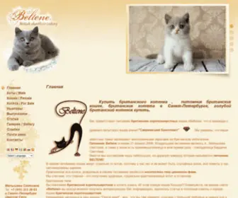 Beltene.ru(Питомник кошек в Санкт) Screenshot