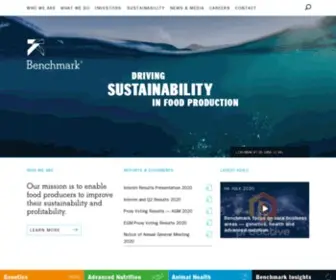 Benchmarkplc.com(BMK)) Screenshot