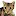 Bengal-Cat.com Favicon