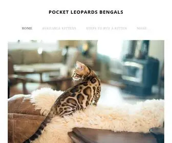 Bengalcatscalifornia.com(POCKET LEOPARDS BENGALS) Screenshot