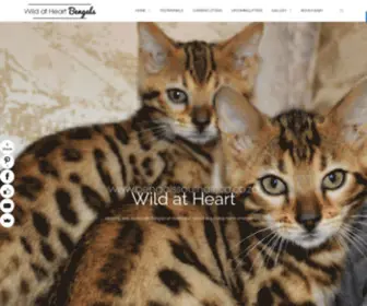 Bengalssouthafrica.co.za(Wild at Heart Bengal Cattery) Screenshot