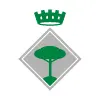Benifallet.cat Logo