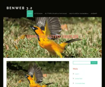 Benkolstad.net(Life through the lens of a SoFla amateur naturalist) Screenshot