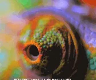 Beoninternet.net(Consulting Internet Barcelona Agencia digital) Screenshot