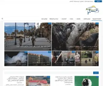 Beqaawest.com(اخبار) Screenshot