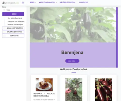 Berenjena.co(Empresa Agroindustrial de frutas tropicales que ofrece una cadena de valor) Screenshot
