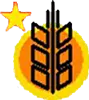 Berfin.net Favicon