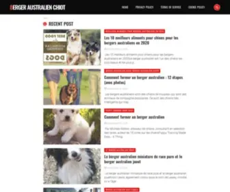 Bergeraustralienchiot.com(Berger Australien Chiot) Screenshot