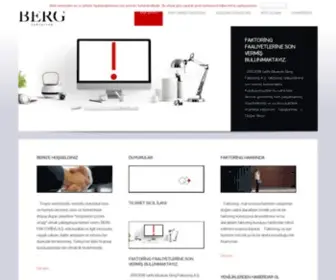 Bergfaktoring.com.tr(Berg Faktoring) Screenshot