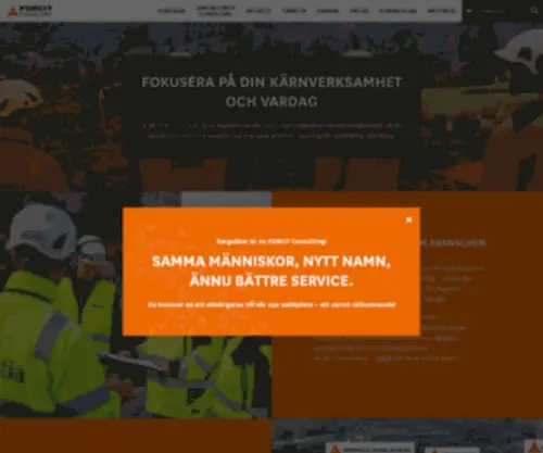Bergsaker.se(Forcit Consulting Sweden) Screenshot