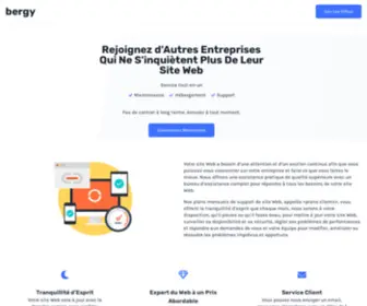 Bergy.fr(Maintenance, Hébergement & Support) Screenshot