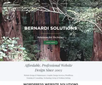 Bernardisolutions.com(Solutions for Technology) Screenshot