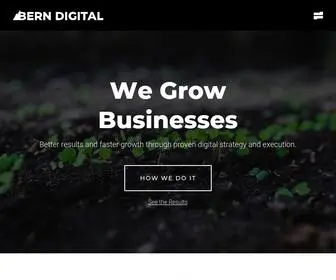 Berndigital.com(Growth Marketing) Screenshot
