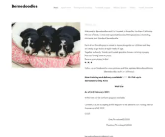 Bernedoodlesandco.com(Bernedoodles) Screenshot