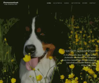 Bernersennen-Hund.ch(Berner Sennenhund) Screenshot