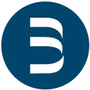 Bernstein-Group.com Favicon