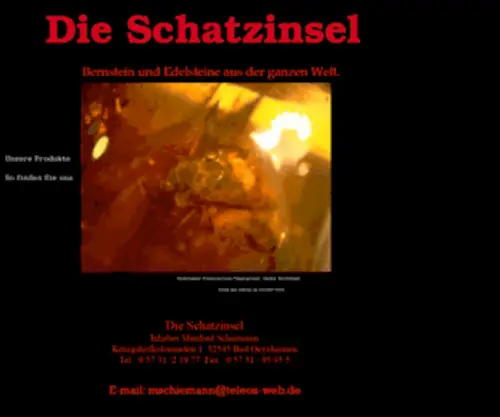 Bernstein-Schiemann.de(Bernstein Schiemann) Screenshot