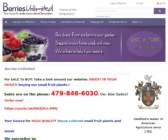 Berriesunlimited.com(Berries Unlimited) Screenshot