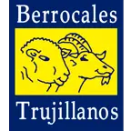 Berrocales.com Favicon