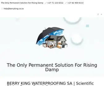 Berryking.co.za(BerryKing Waterproofing SA) Screenshot