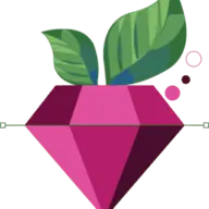 Berrysoft.ro Favicon