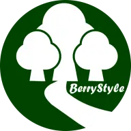 Berrystyle.jp Favicon