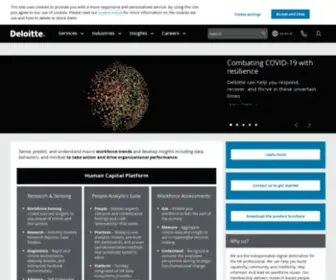 Bersin.com(Insights2Action by Deloitte) Screenshot