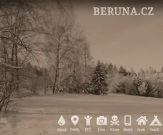 Beruna.cz(BERUNA web) Screenshot