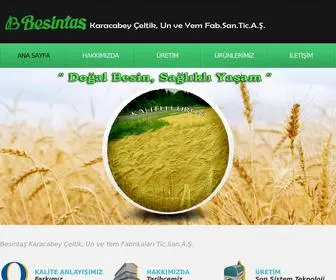 Besintas.com(BESİNTAŞ) Screenshot