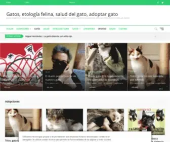 Besosdegato.com(Mercadillos benéficos) Screenshot