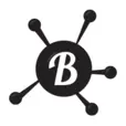 Bespokebug.com Favicon