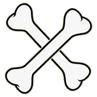 Bestbuybones.com Favicon